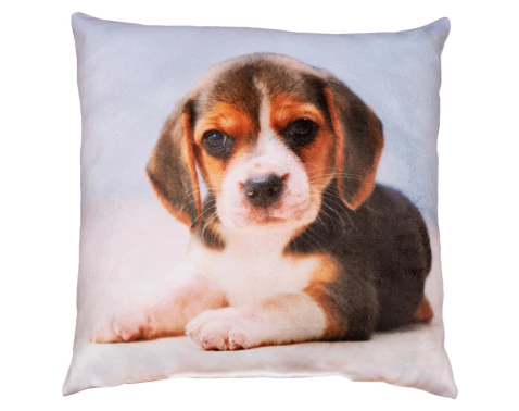 Dekorační polštářek Bígl, 25x25 cm