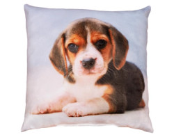 Dekorační polštářek Bígl, 25x25 cm