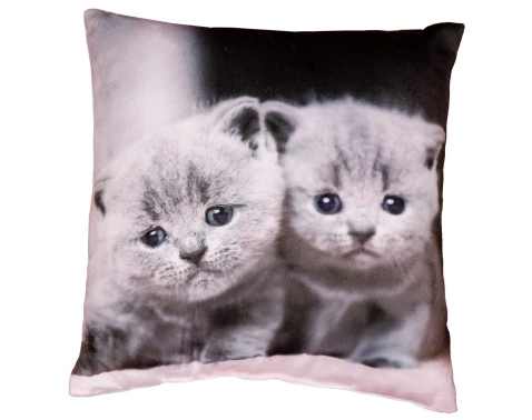 Dekorační polštářek Kočičky, 25x25 cm