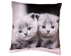 Dekorační polštářek Kočičky, 25x25 cm