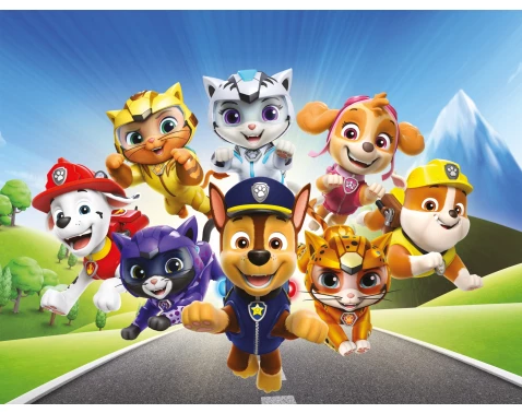 Dětský obraz Paw Patrol na cestě, 61x46 cm
