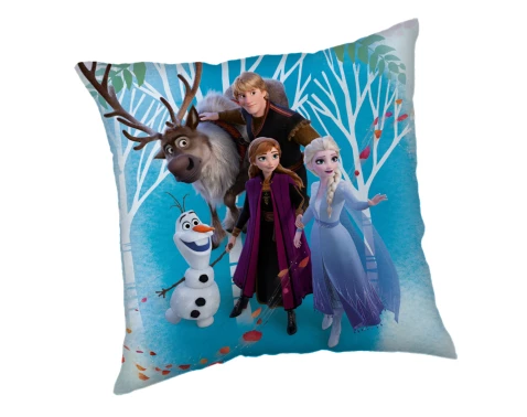 Dětský polštářek Disney Frozen, 40x40 cm