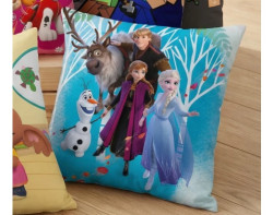 Dětský polštářek Disney Frozen, 40x40 cm