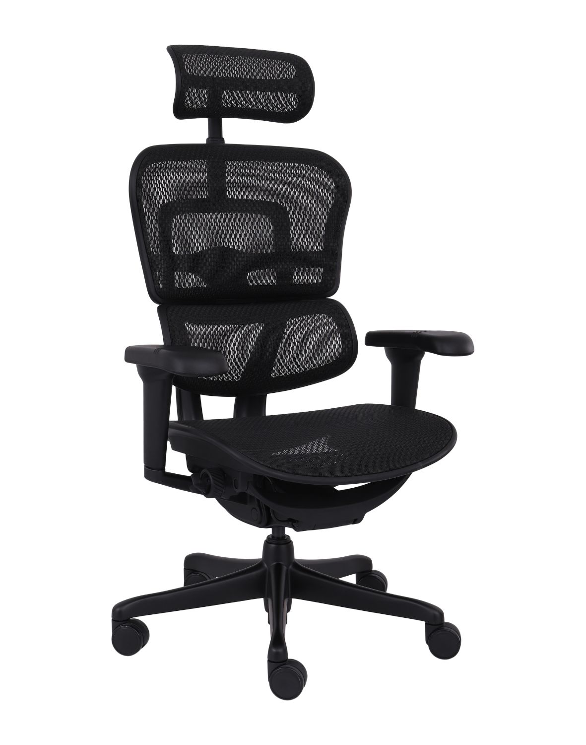 Ergonomické křeslo Ergohuman 2 Ultra BS Black