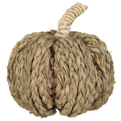 IB Laursen Dekorace dýně PUMPKIN COACH GRASS