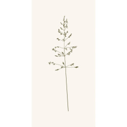 IB Laursen Ubrousky AUTUMN GRASS, 16 ks