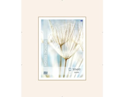 Klipový rám 50x60 cm, čirý