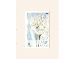 Klipový rám 50x70 cm, čirý