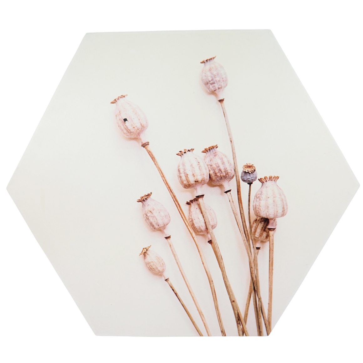 Nástěnná dekorace POPPY WOOD Ø 58 cm