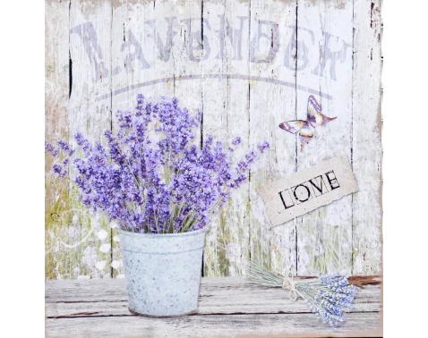 Obraz na plátně Levandule zátiší Love, 40x40 cm