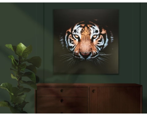 Obraz na plátně Tygří pohled, 80x80 cm