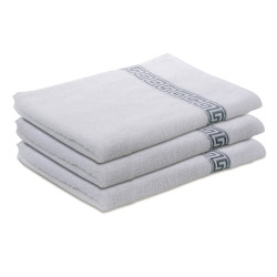 Ručník GREEK 50 x 90 cm bílý, 100% bavlna