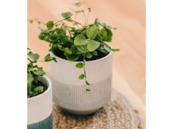 Šedý keramický květináč FINO