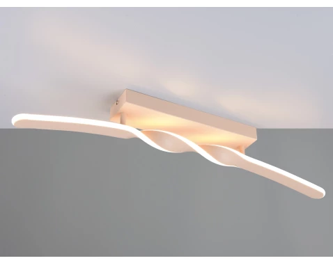 Stropní/nástěnné osvětlení LED Ginko, písková