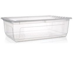 Úložný box Bea 30 l, průhledný