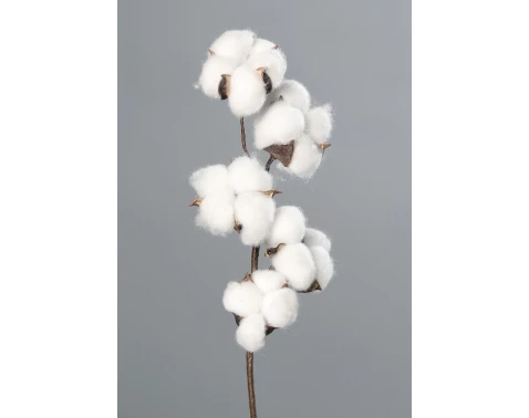 Umělá květina Bavlník 49 cm, bílá