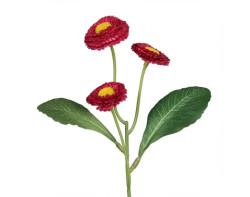 Umělá květina Sedmikráska 24 cm, vínová