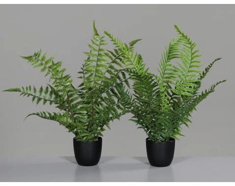 Umělá rostlina v květináči Kapradina, 36 cm (2 druhy)