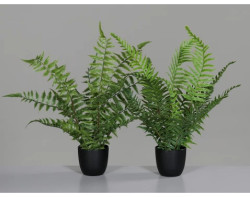 Umělá rostlina v květináči Kapradina, 36 cm (2 druhy)
